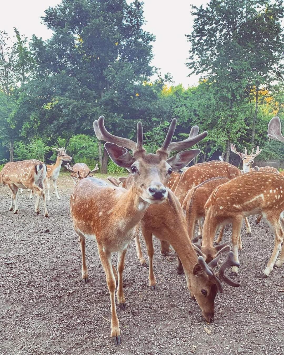 Plitvice Apis Villa Korenica Ngoại thất bức ảnh